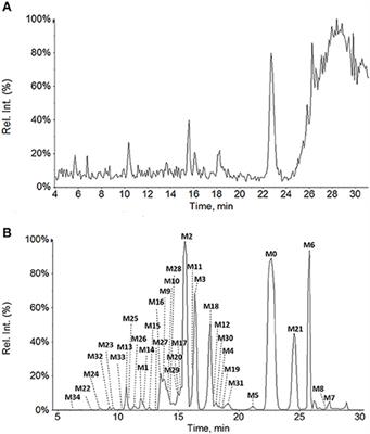 Ganoderic Acid A Metabolites and Their Metabolic Kinetics